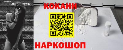 СК Новозыбков