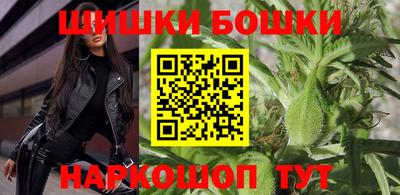 СК Новозыбков